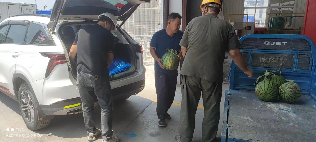 Invio di freschezza in estate afosa, unendo gli sforzi per combattere il calore estremo